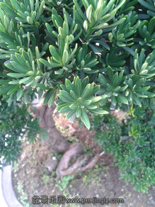 2013-07-25 17.33.37.jpg