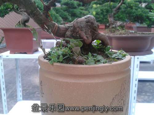 2013-07-25 17.48.21.jpg