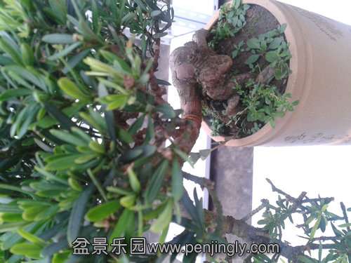 2013-07-25 17.48.36.jpg