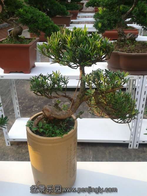 2013-07-25 17.50.07.jpg