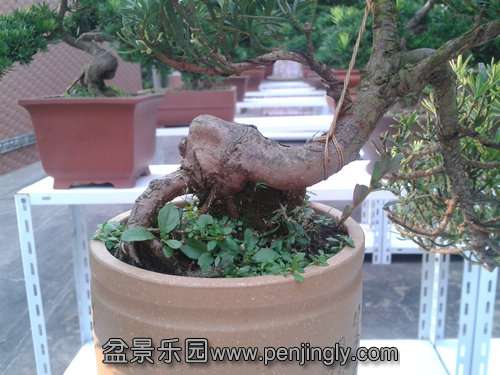 2013-07-25 17.50.49.jpg