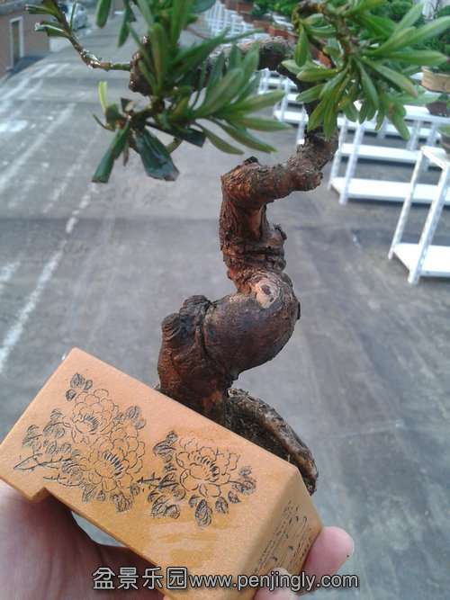 2013-07-25 18.03.59.jpg