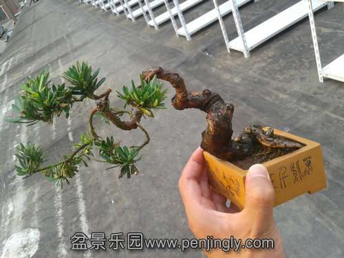 2013-07-25 18.05.11.jpg