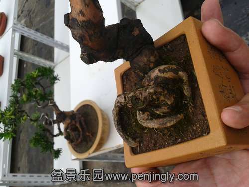 2013-07-25 18.08.21.jpg