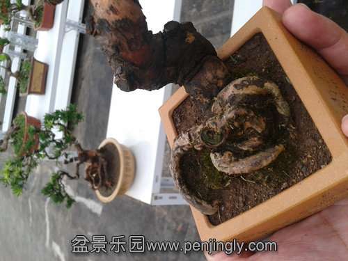 2013-07-25 18.08.42.jpg