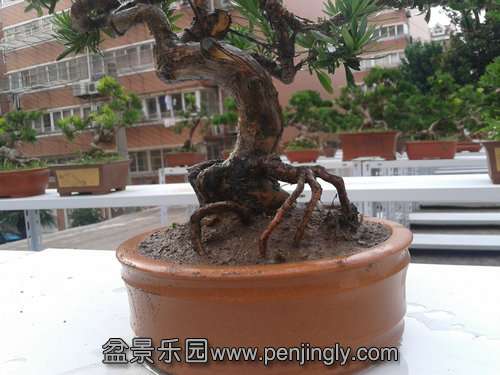 2013-07-25 18.11.09.jpg