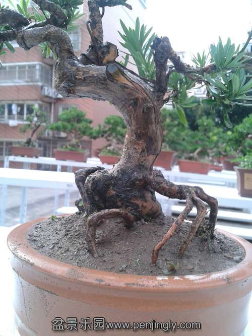 2013-07-25 18.11.20.jpg