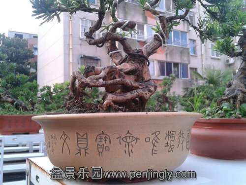 2013-07-25 18.24.25.jpg