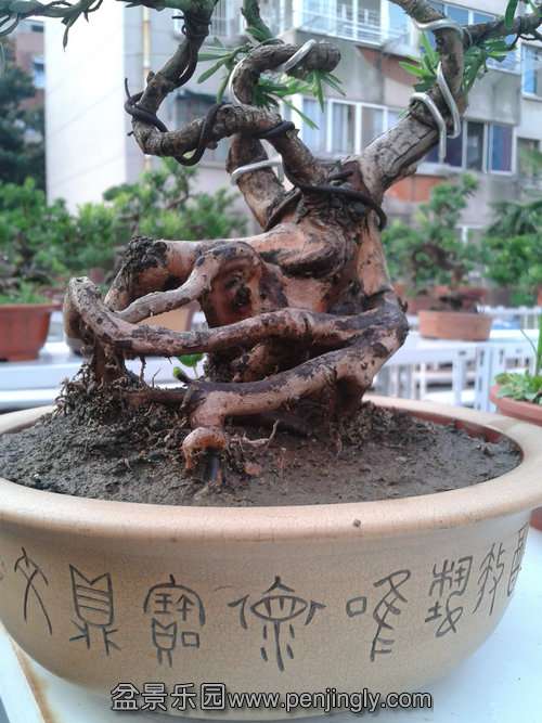 2013-07-25 18.24.49.jpg