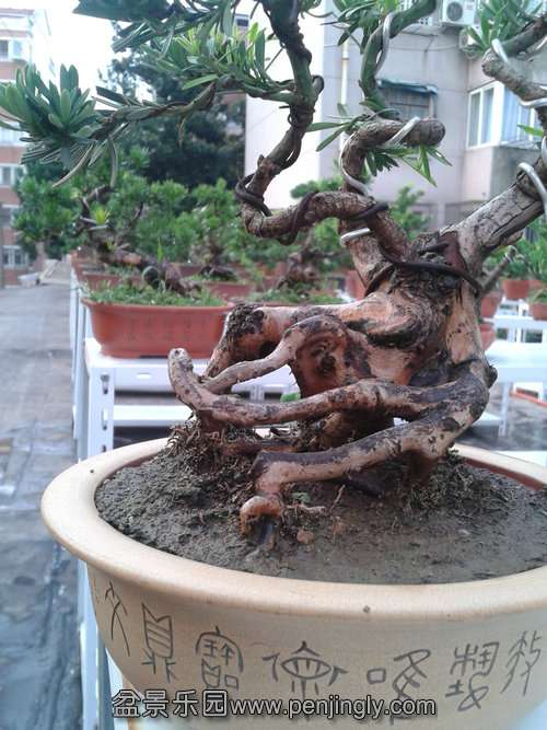 2013-07-25 18.25.11.jpg