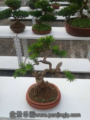 2013-07-25 18.06.31.jpg