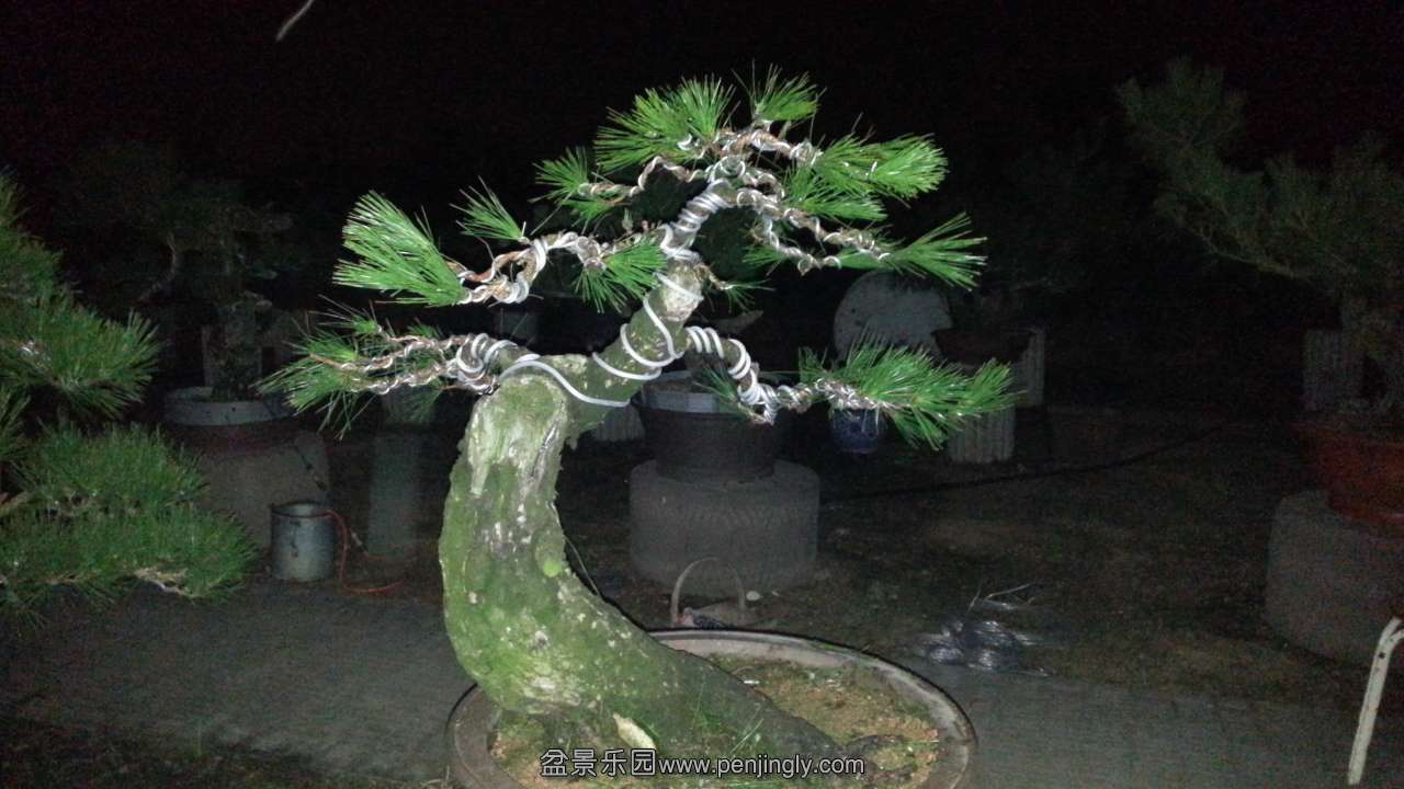 20130725_210154.jpg