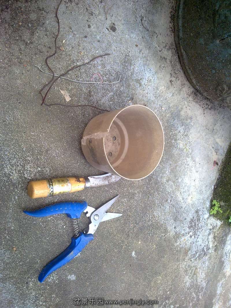 ߣܽ