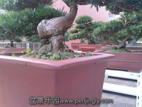 2013-07-25 17.31.25.jpg