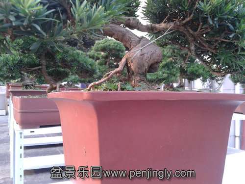 2013-07-25 17.32.39.jpg