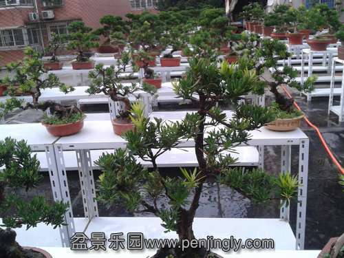 2013-07-25 18.20.52.jpg