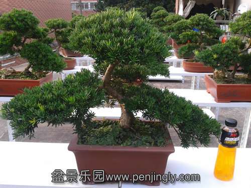 2013-07-25 17.27.26.jpg