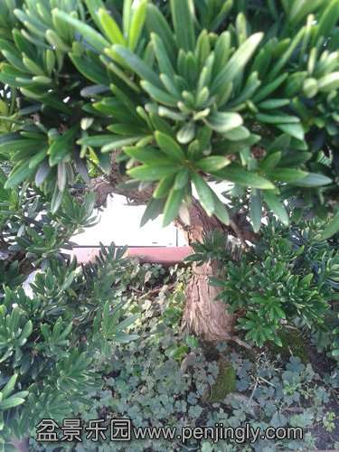 2013-07-25 17.27.49.jpg