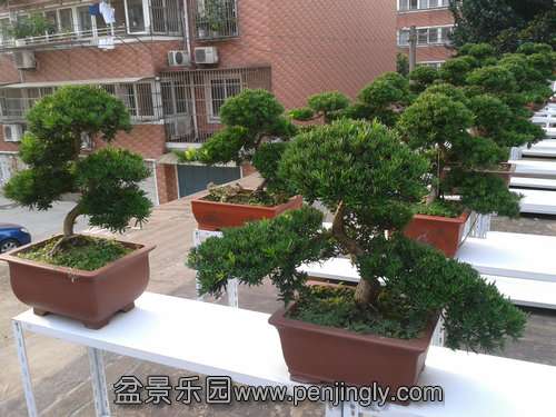 2013-07-25 17.29.50.jpg