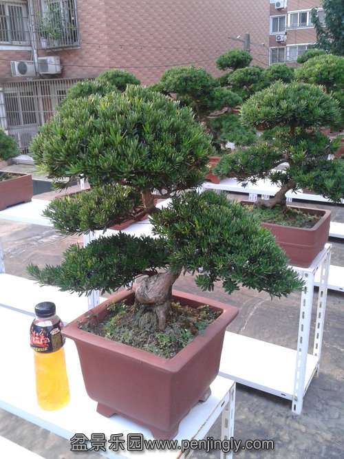 2013-07-25 17.31.03.jpg