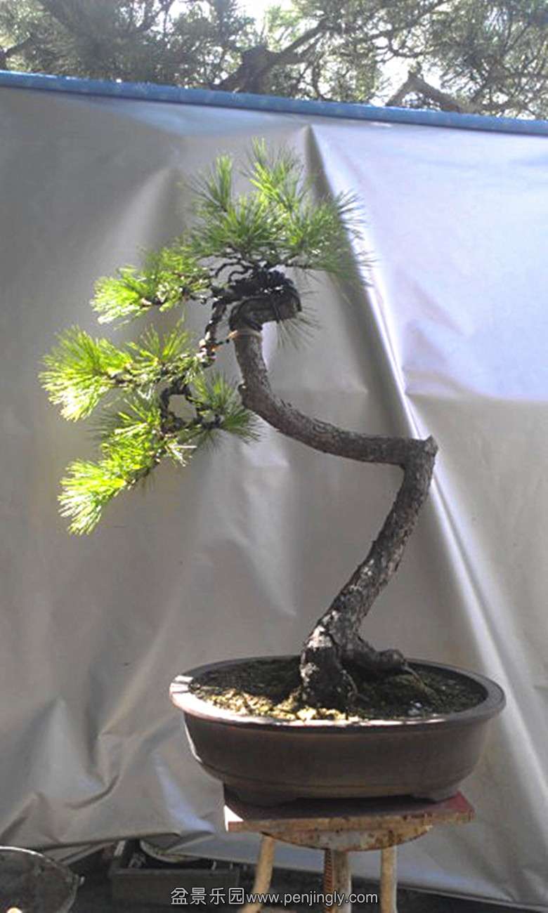 IMAG2409_77009_.jpg