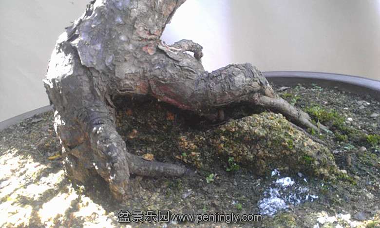 IMAG2410_109104_.jpg