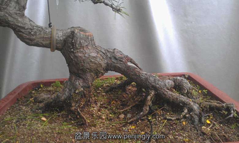 IMAG2415_93742_.jpg