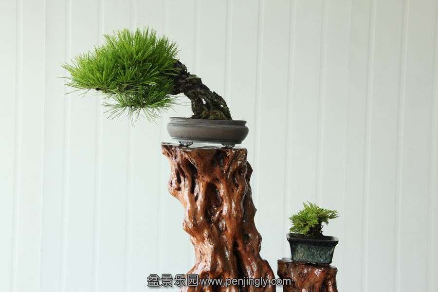 2013.7.27 ---2 004.jpg