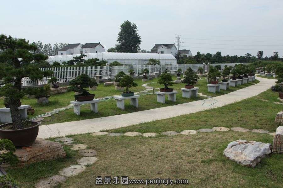 2013.7.27 015.jpg