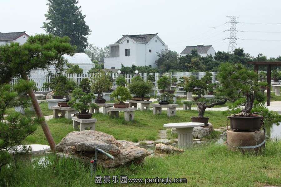 2013.7.27 019.jpg