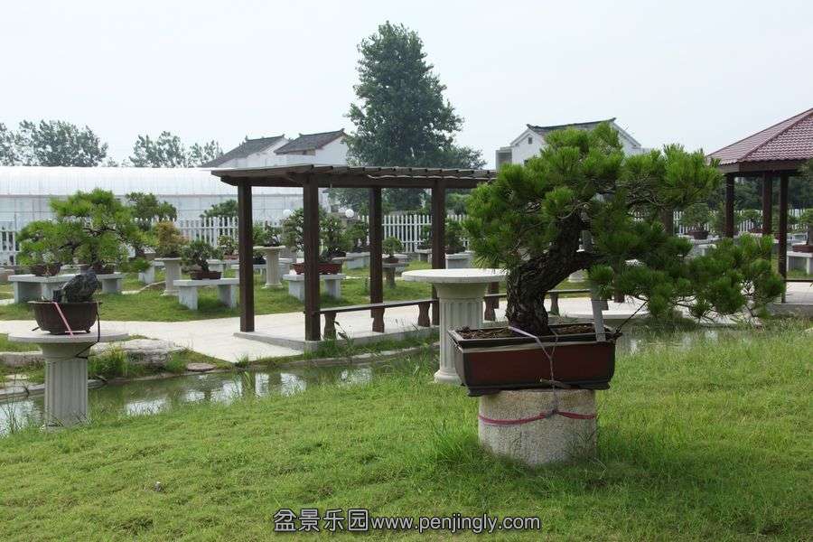 2013.7.27 023.jpg
