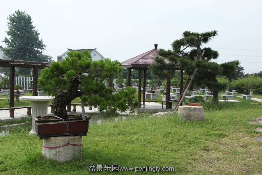 2013.7.27 024.jpg