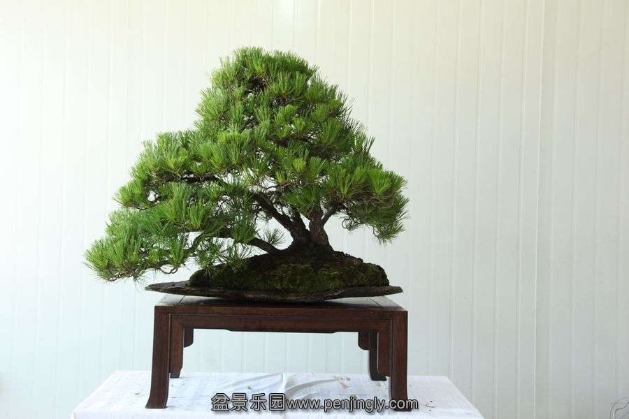 2013.7.27 ---2 041.jpg