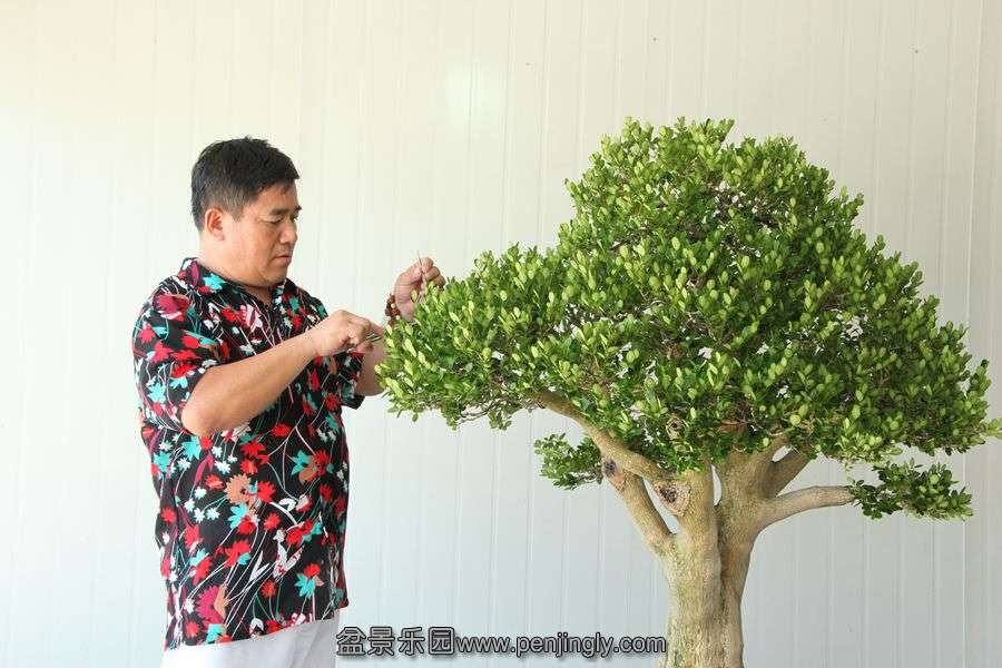 2013.7.27 ---2 050.jpg