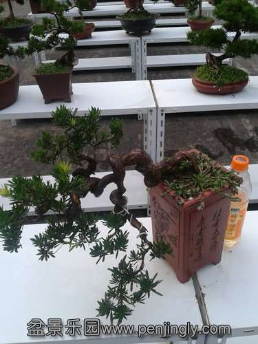 2013-07-27 18.40.19.jpg