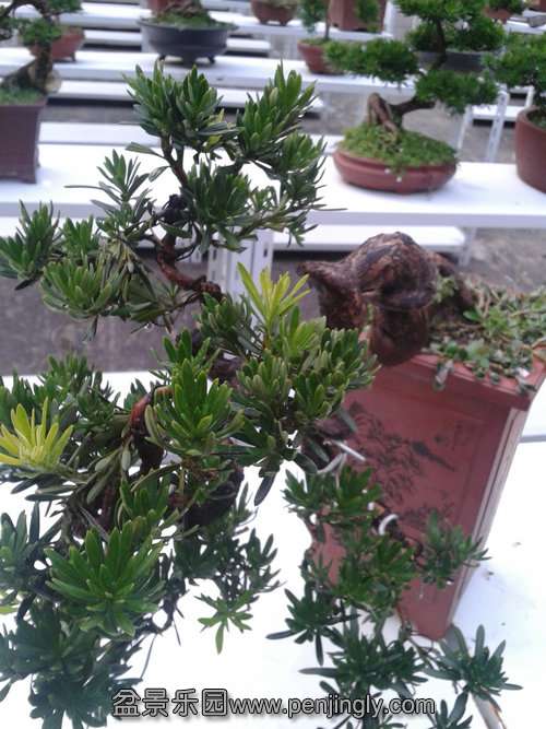 2013-07-27 18.44.59.jpg