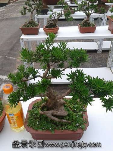 2013-07-27 17.49.27.jpg