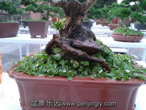 2013-07-27 18.12.48.jpg