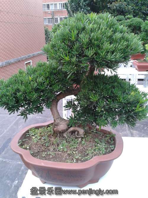 2013-07-27 18.03.49.jpg