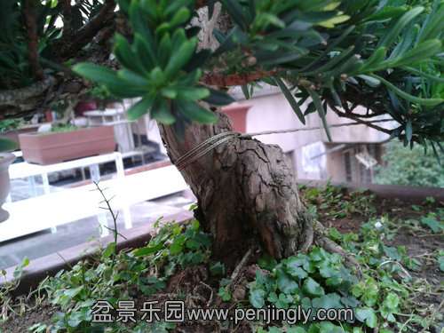 2013-07-27 18.08.56.jpg