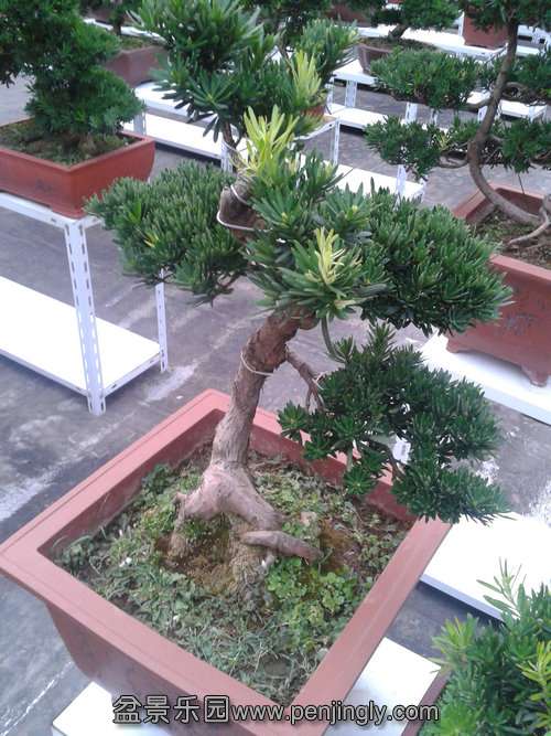2013-07-27 18.29.11.jpg