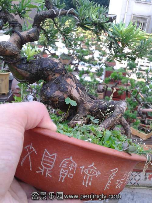 2013-07-23 17.54.54.jpg