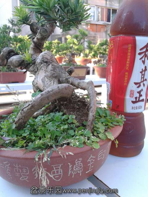 2013-07-23 17.41.06.jpg