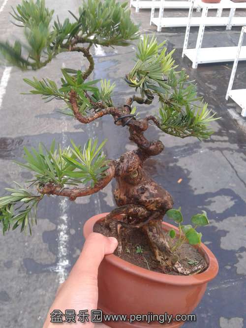 2013-07-23 18.11.26.jpg