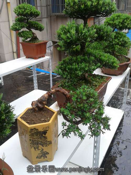 2013-05-16 12.24.21.jpg