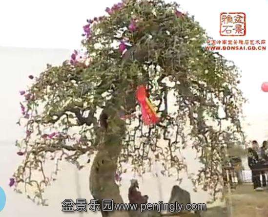 ֦䷨