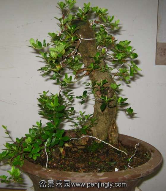 08.jpg