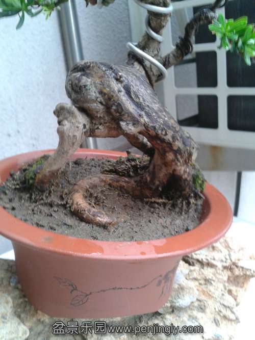 2013-05-26 13.22.19.jpg