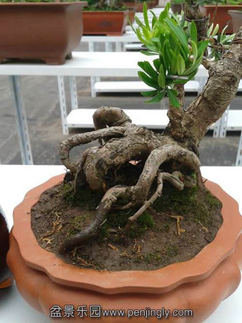 2013-07-07 13.39.57.jpg