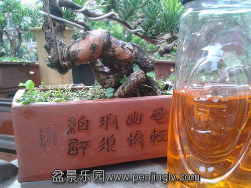 2013-07-25 18.01.05.jpg